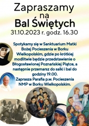 parafiaborekwlkp.pl